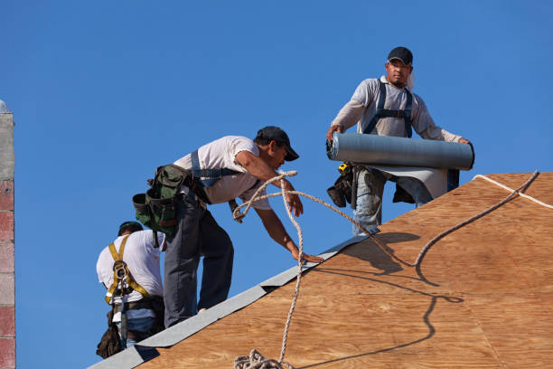 Best Roof Leak Repair  in Chena Ridge, AK