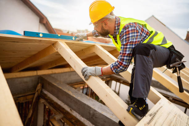 Best Roof Maintenance Services  in Chena Ridge, AK