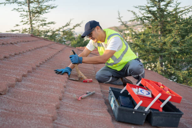 Best Commercial Roofing Services  in Chena Ridge, AK