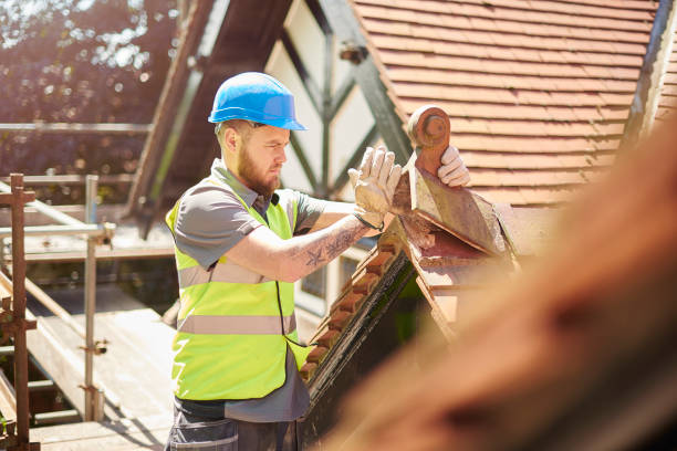 Best Roof Repair Services  in Chena Ridge, AK
